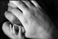 hands